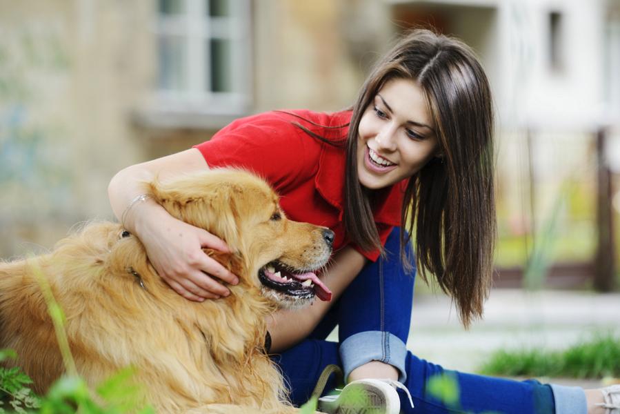 Top 5 Bad Habits of Dogs Being Spoiled